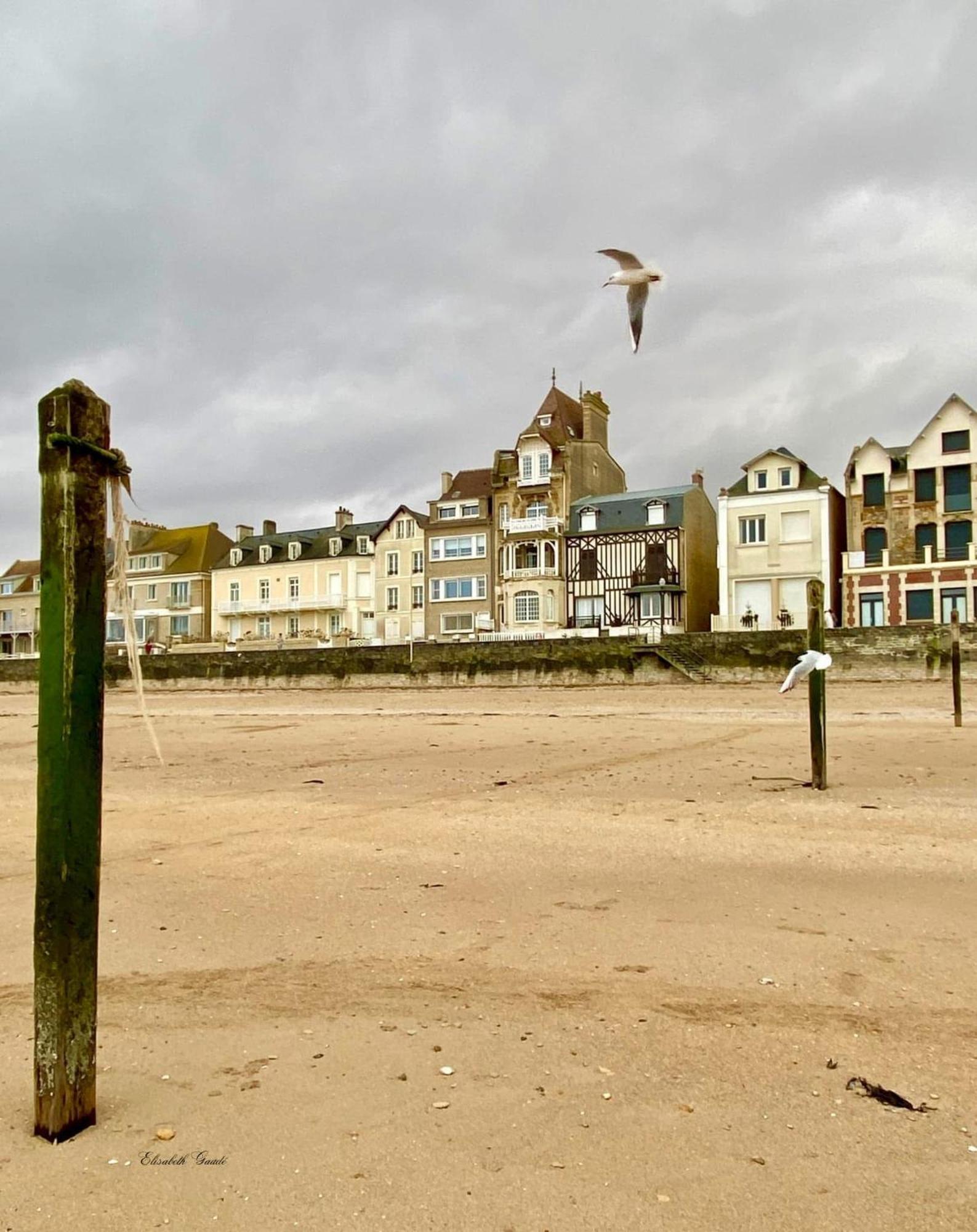 Saint-Aubin-Sur-Mer: Bel Appartement Traversant エクステリア 写真